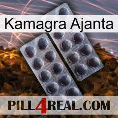 Kamagra Ajanta 31